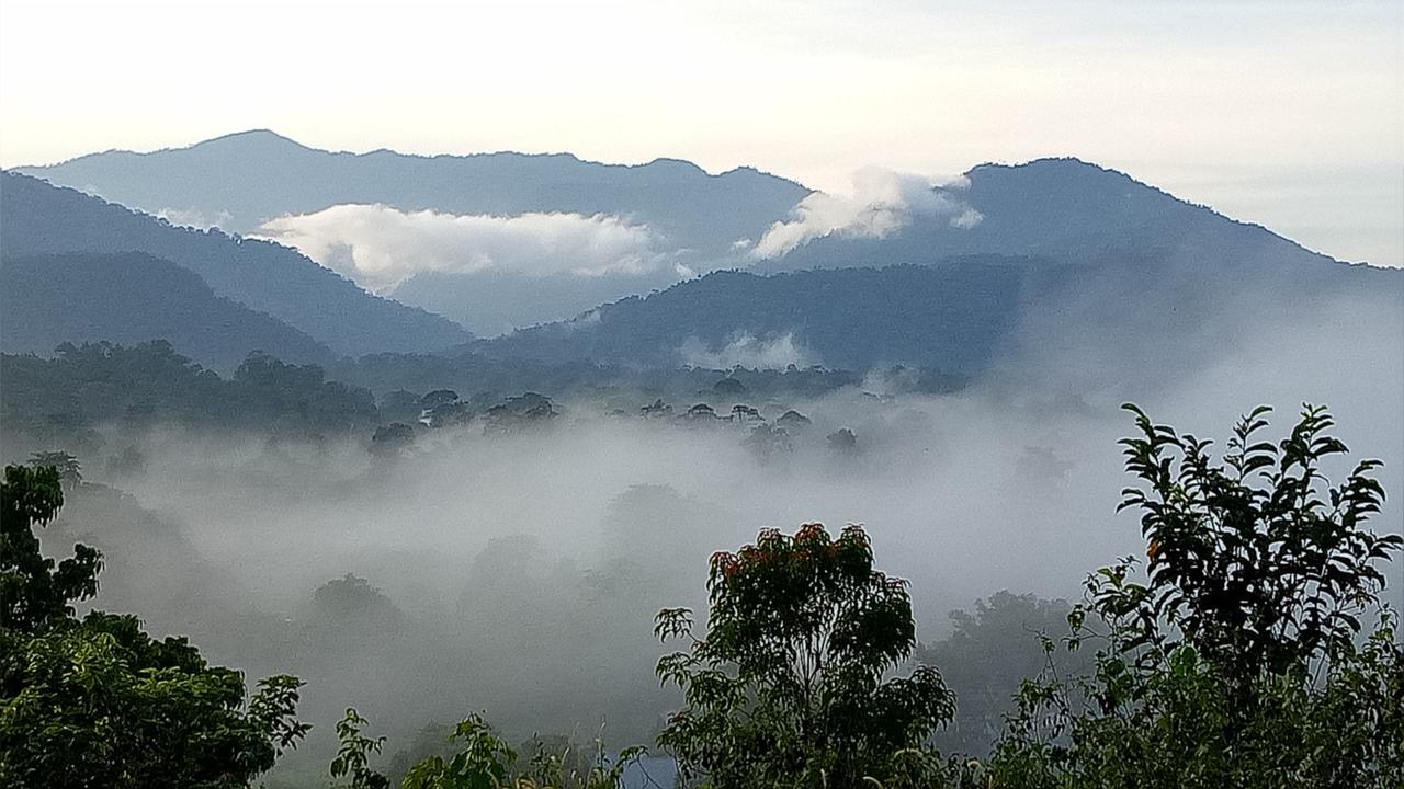 Mulu Village Cameră foto