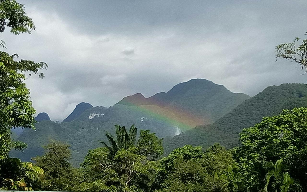 Mulu Village Cameră foto